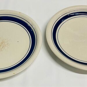 Elegant Blue and Cream Dinner Plates